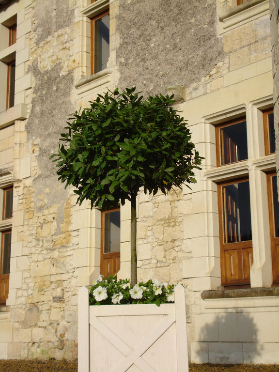 Manoir Du Bois Noblet Bed & Breakfast Louerre Exterior photo